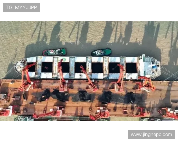 盐城大丰港战队勇夺冠军 展现团队协作与竞技实力