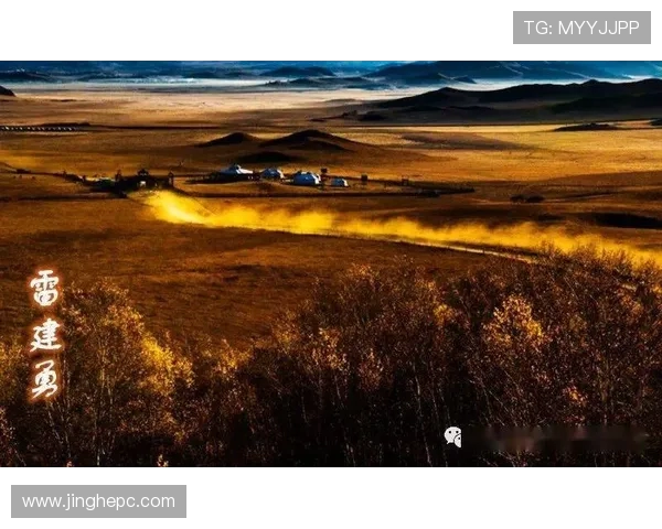 太阳与自由直播视频下载的完美结合探索与分享新视野